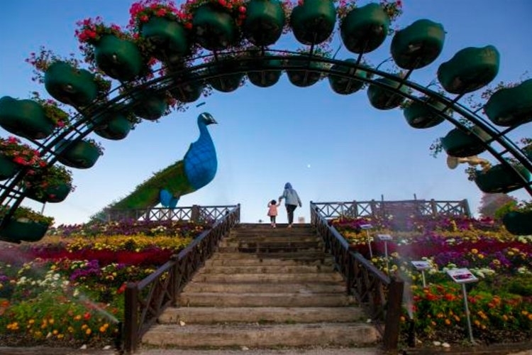 Konya Selçuklu Çiçek Bahçesi Fotoğraf Yarışması Kazananları Açıklandı