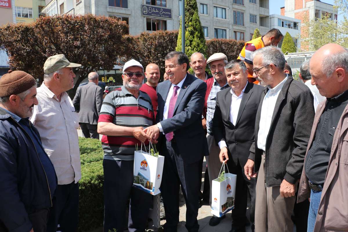 Havza Belediyesi 1500 ücretsiz fidan dağıttı