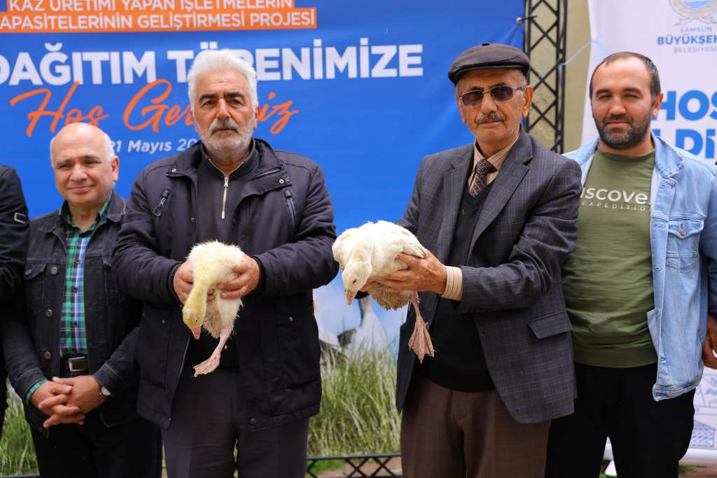 SAMSUN BÜYÜKŞEHİR’DEN ÜRETİCİLERE KAZ DESTEĞİ