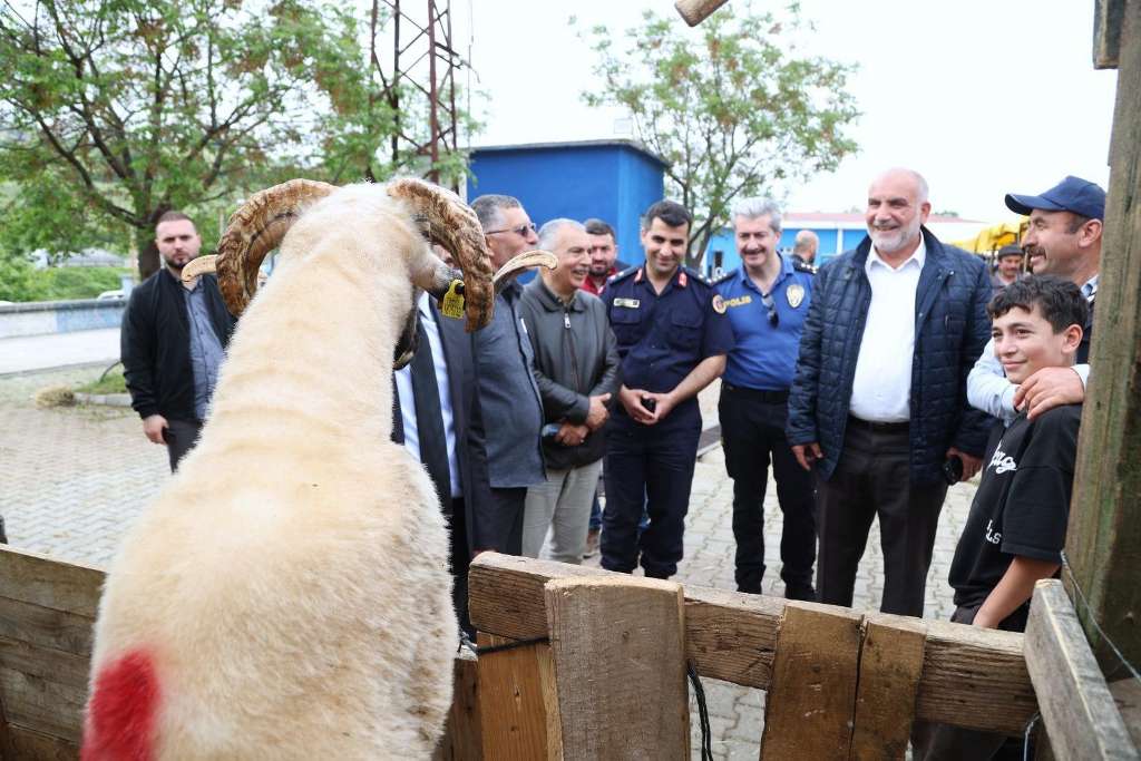 Canik Belediyesi Kurban Pazarı’na Büyük Rağbet