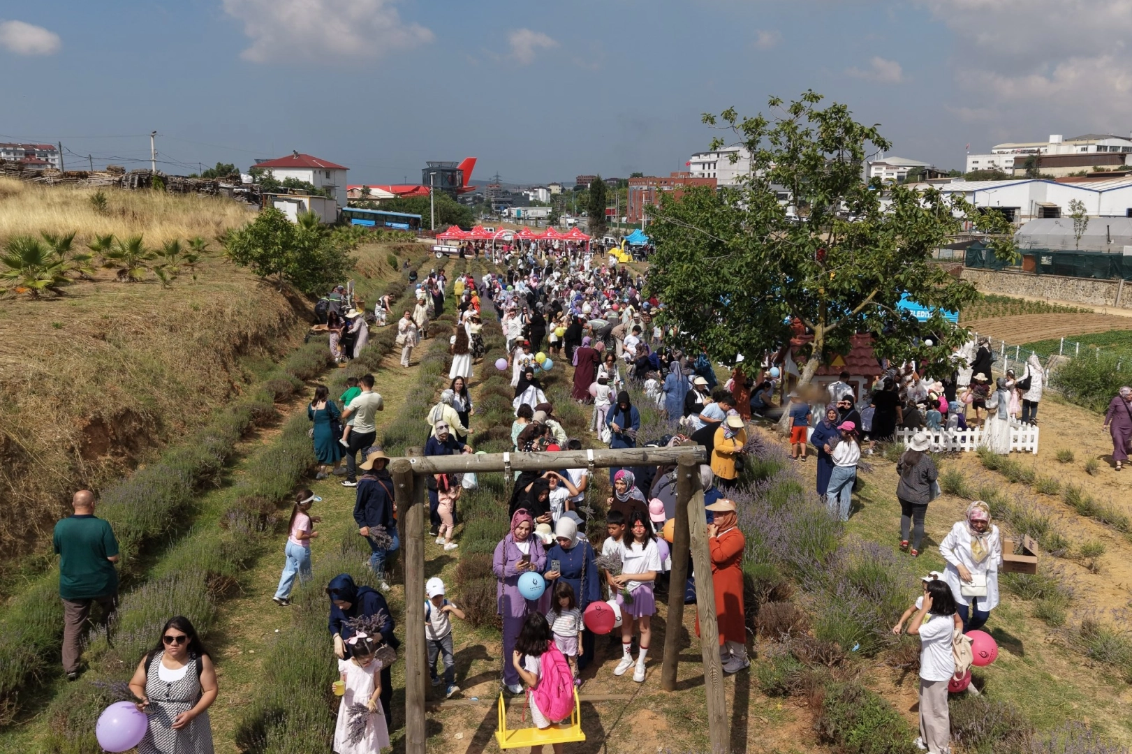 Çayırova’da Lavanta Hasadı Şenliği Renkli Anlara Sahne Oldu