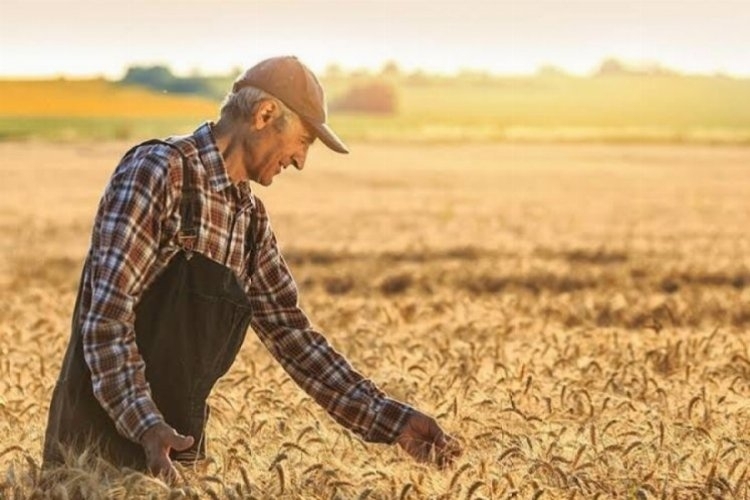 TÜİK, Tarımsal Girdi Fiyat Endeksi'ni oranını açıkladı