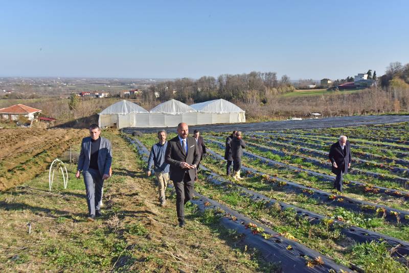 Tekkeköy Belediyesi çiftçiye sera desteği sağladı