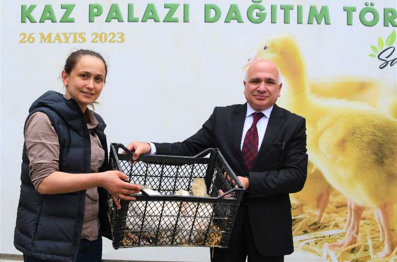 Samsun'da 30 kadın üreticiye bin 500 kaz palazı